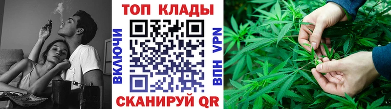 Где купить Камень-на-Оби Бошки Шишки  Cocaine  Альфа ПВП  Меф мяу мяу  Амфетамин  ГАШ 