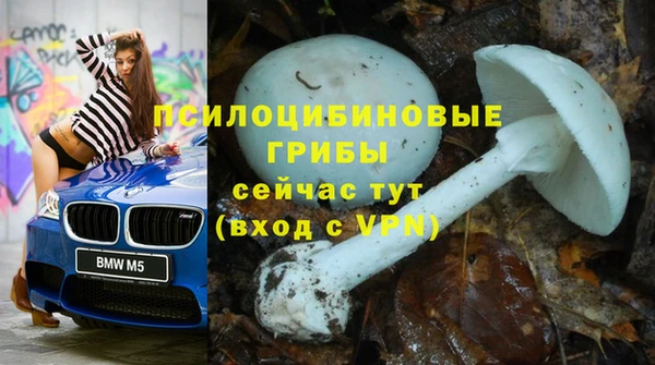 кокс Заводоуковск
