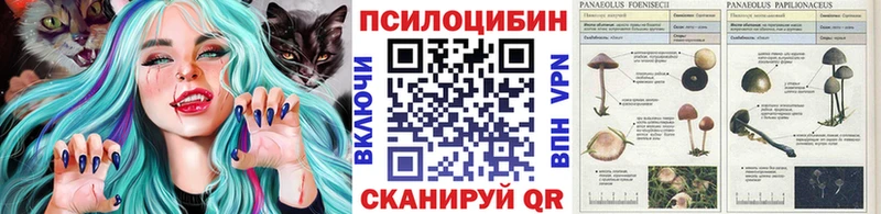Галлюциногенные грибы прущие грибы  купить   Камень-на-Оби 