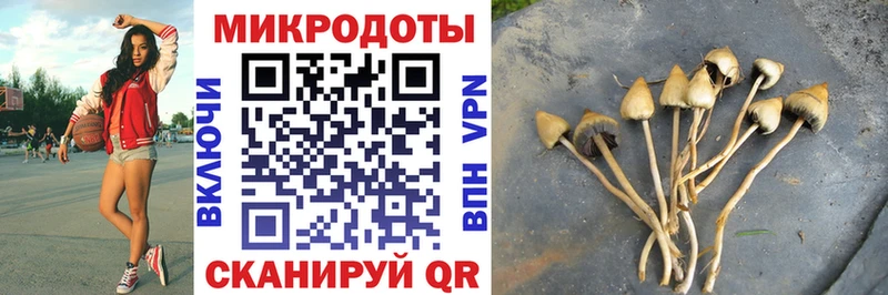 Псилоцибиновые грибы ЛСД Камень-на-Оби