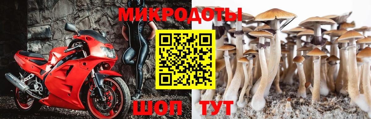 Псилоцибиновые грибы Psilocybe  Вход с VPN  Псилоцибиновые грибы Psilocybine cubensis  Камень-на-Оби 