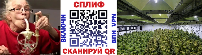 закладка  Камень-на-Оби  Бошки Шишки VHQ 